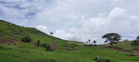 Leyte town creates 'unity garden' to promote tourism, .